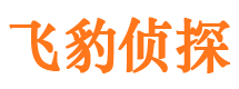 阿合奇侦探公司